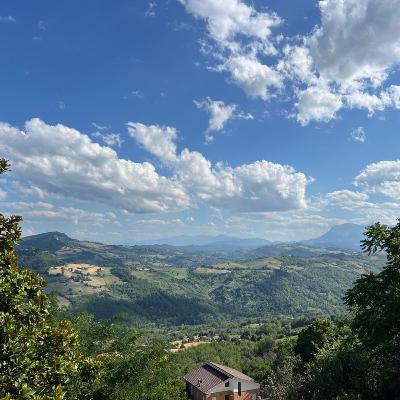 PODCAST 223  Travel Conundrums