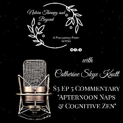 S3 Ep 5: Commentary |"Afternoon Naps & Cognitive Zen"