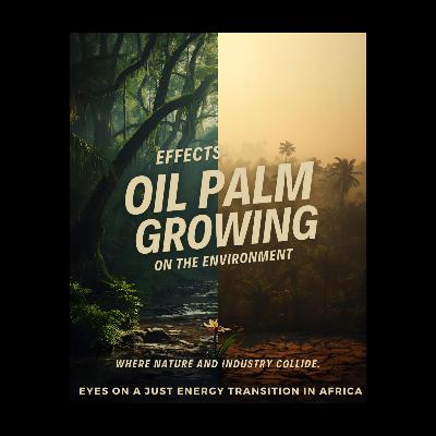 Effects of Oil Plam growing on the environment.