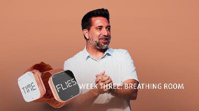 Time Flies Week Three