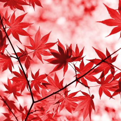 175芥川龍之介「秋」（朗読）