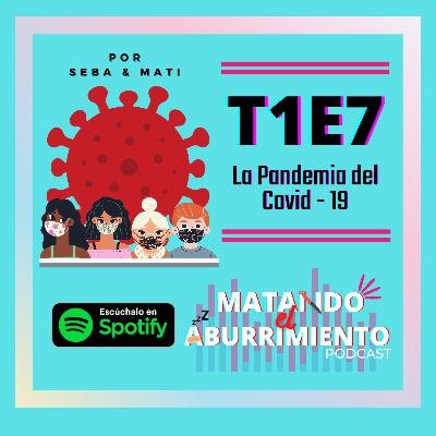 La Pandemia del Covid-19