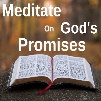 Day 223:Jesus is your Guardian- Isaiah 43:2