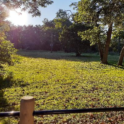 What does God say about? Where is Race in Sacred Text?