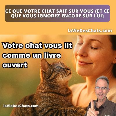 VOTRE CHAT VOUS COMPREND, MÊME QUAND VOUS CROYEZ LE CONTRAIRE