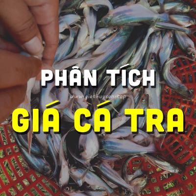 PHÂN TÍCH GIÁ CÁ TRA #ĐBSCL 6/10/2025 & ĐÀ TĂNG CÁ TRA GIỐNG CHƯA DỪNG LẠI? #GIATHUYSAN #GIACATRA