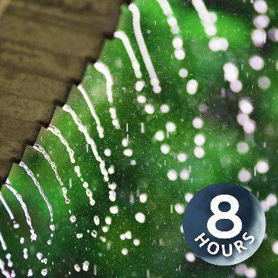 Ljud av fallande regn för sömn, fokus eller avkoppling (8 timmar)