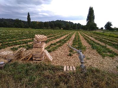 The Ukiyo Podcast | UKY031 The Ukiyo Podcast | UKY031