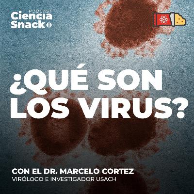 Ciencia Snack | ¿Qué son los virus?