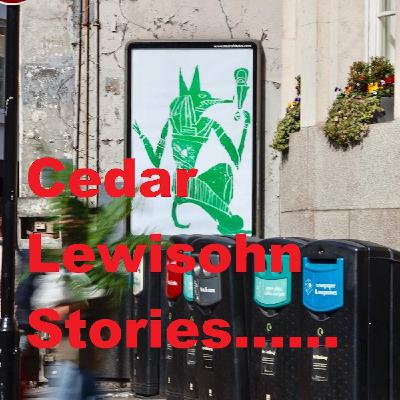Cedar Lewisohn Stories - Morley's Chicken Shop