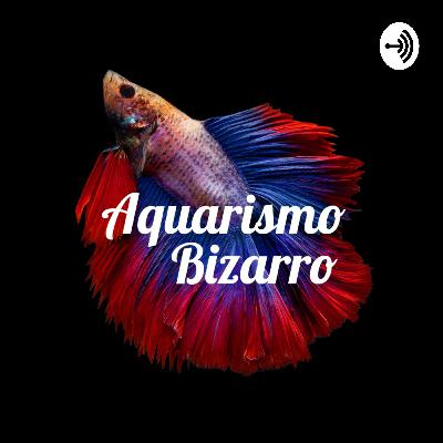 #126 Não cometa esses erros! - Aquarismo Bizarro