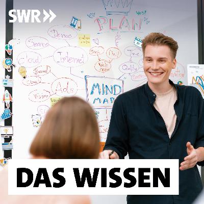 Unternehmensgründungen an Unis – Vom Geistesblitz zur Geschäftsidee Unternehmensgründungen an Unis – Vom Geistesblitz zur Geschäftsidee