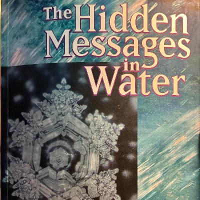 Sticks & Stones may Break my Bones, but ...