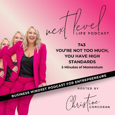 743 You’re not too much, you have high standards - 5 Minutes of Momentum 743 You’re not too much, you have high standards - 5 Minutes of Momentum