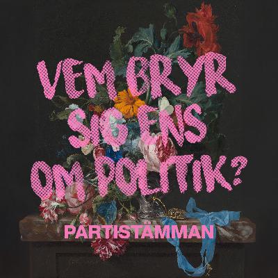 3: Partistämman