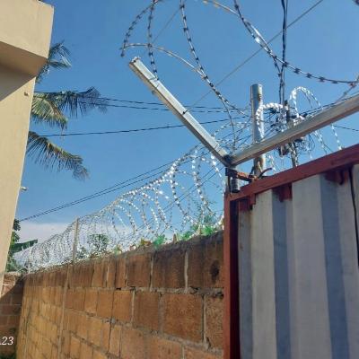 All I Want for Christmas Is...BARBED WIRE