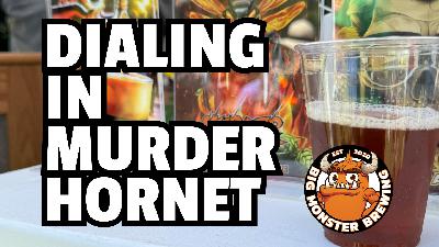 Big Monster Brewing – Dialing in Murder Hornet Big Monster Brewing – Dialing in Murder Hornet
