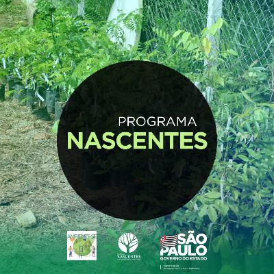 Programa Nascentes Programa Nascentes