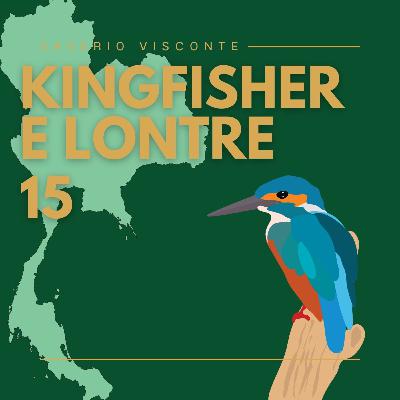 15 - Tra lontre e martin pescatori in Thailandia 🦦🇹🇭 15 - Tra lontre e martin pescatori in Thailandia 🦦🇹🇭