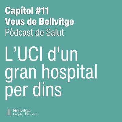 L’UCI d’un gran hospital per dins: ciència, emocions i vida