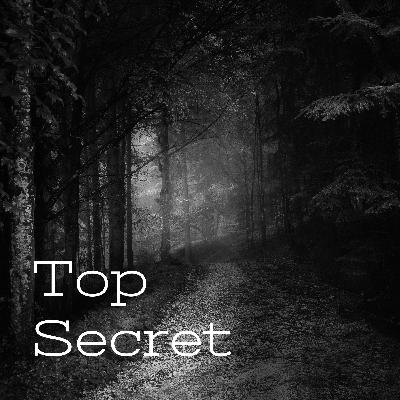 Secret files 2