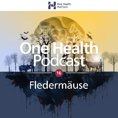 Fledermäuse