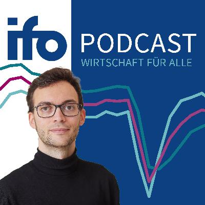 Parlamentarische Arbeit: Der Einfluss von Nebentätigkeiten und Aussehen