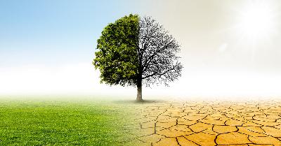 Il clima è cambiato
