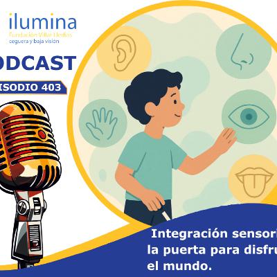 Integración sensorial la puerta para disfrutar el mundo