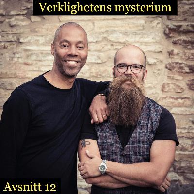 Avsnitt 12: Ofullkomlighet Avsnitt 12: Ofullkomlighet