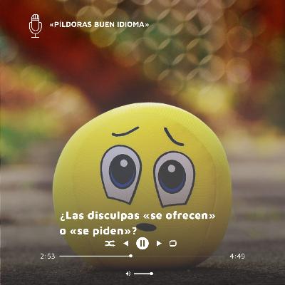 ¿Las disculpas «se ofrecen» o «se piden»? ¿Las disculpas «se ofrecen» o «se piden»?