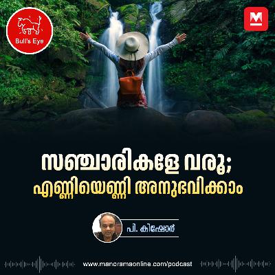 സഞ്ചാരികളേ വരൂ, എണ്ണിയെണ്ണി അനുഭവിക്കാം | Destination Experience Tourism | Local Flavour | Exploring Local Vibe | Bulls Eye