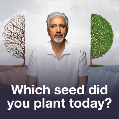 Which Seed Did You Plant Today: Karma | Dave Mann