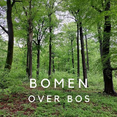 Bomen over bos 1 : Simon Klingen