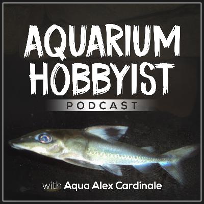 Alex Cardinale Fish Keeper's REUNION! 6 Year Podcast Anniversary Alex Cardinale Fish Keeper's REUNION! 6 Year Podcast Anniversary
