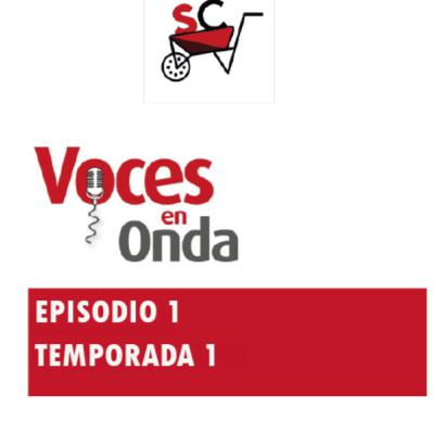 La mudanza a la virtualidad