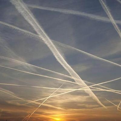 Living Planet: To fly or not to fly? The truth about carbon offsetting Living Planet: To fly or not to fly? The truth about carbon offsetting