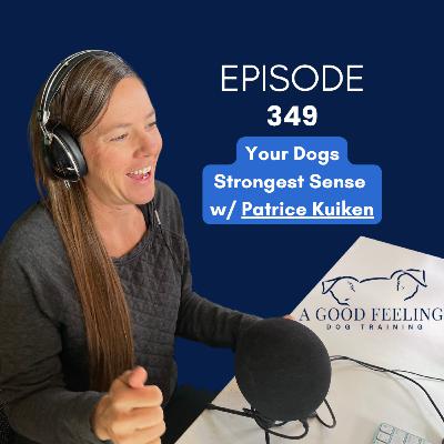 349. Your Dogs Strongest Sense w/ Patrice Kuiken