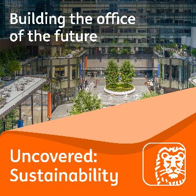 Building the office of the future