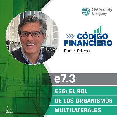 7.3 ESG: El rol de los organismos multilaterales