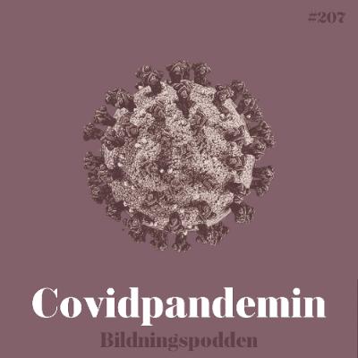 #207 Covidpandemin