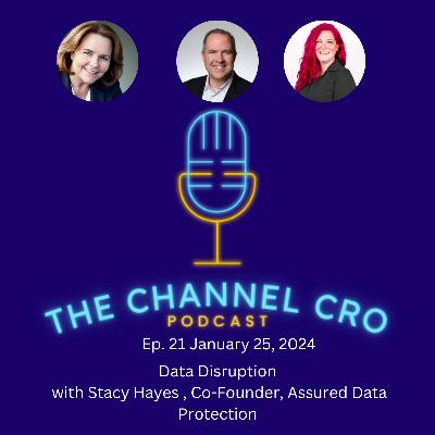 Data Disruption: Revolutionizing Protection with Stacy Hayes