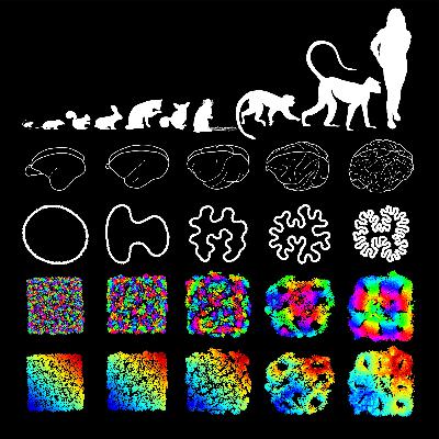 Discussing "Neural Placement Based on Optimization Principles" by Dr. Marvin Weigand