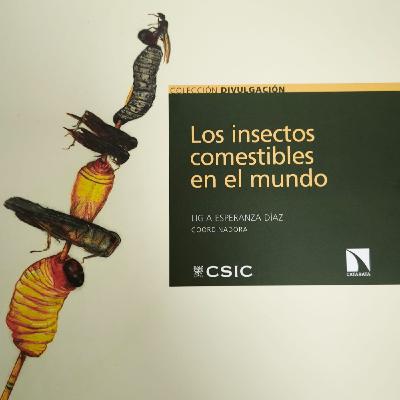 Repensar lo comestible: insectos, ciencia y futuro