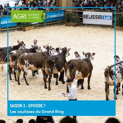 Les coulisses du Grand Ring