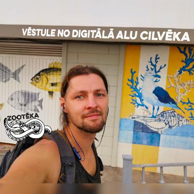 #131 Vēstule no digitālā alu cilvēka #131 Vēstule no digitālā alu cilvēka