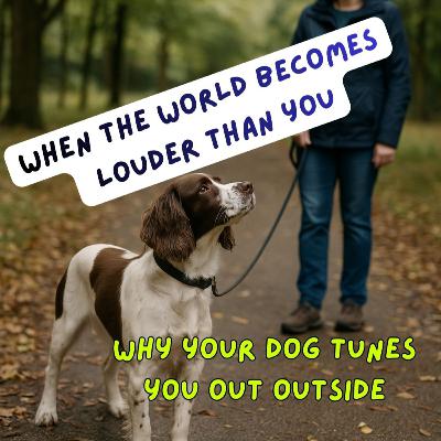 Episode #2.48 – The Myth of the Stubborn Dog Explained: Why Your Dog Isn’t Ignoring You