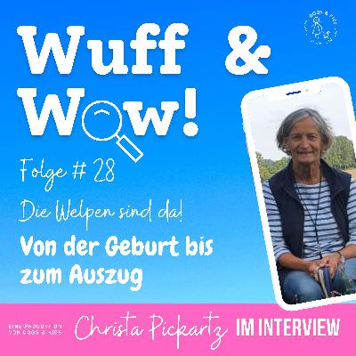#28 Die Welpen sind da! Von der Geburt bis zum Auszug