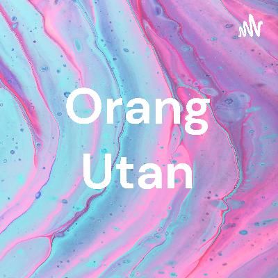 Orang utan