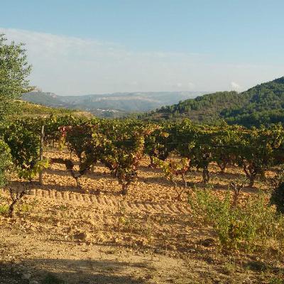 An introduction to Cataluña